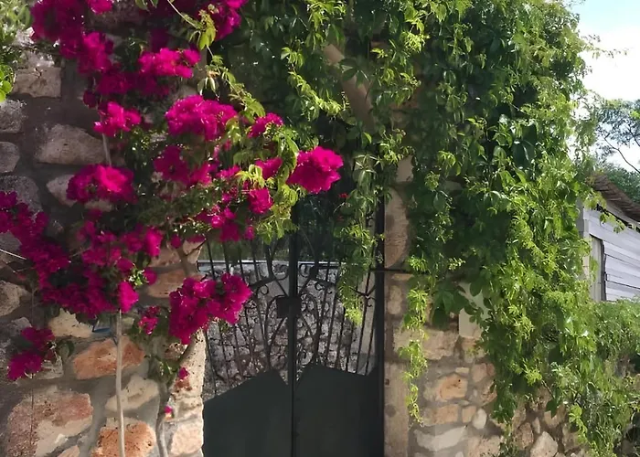 1841 Petrino Villa